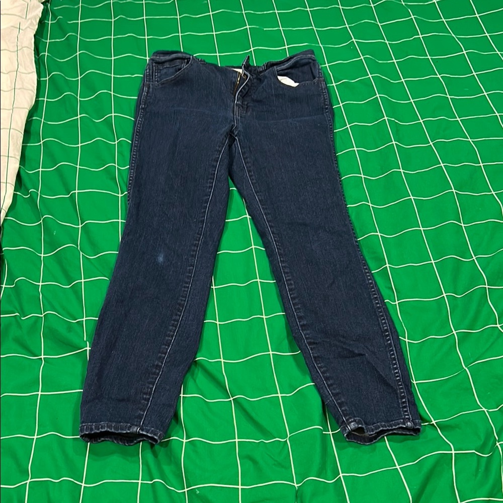 Madewell Blue Skinny Jeans Full-Length Classic
